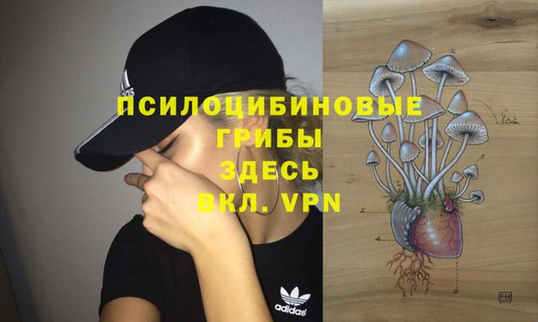 a pvp Армянск