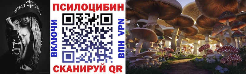 Галлюциногенные грибы прущие грибы ОМГ ОМГ Лесосибирск
