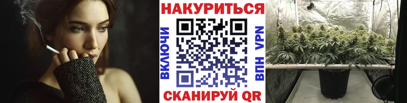 Шишки марихуана тримм  Лесосибирск 